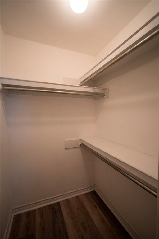 walk in closet with dark wood-type flooring