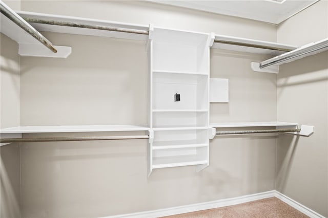 spacious closet featuring carpet floors