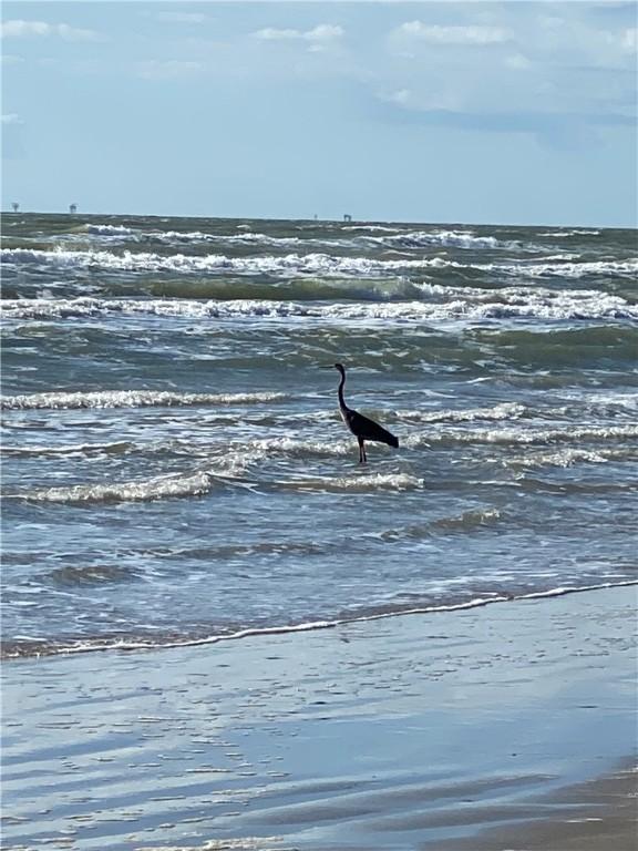 6649 Seacomber Dr Unit 209, Port Aransas, TX 78373 - photo 26