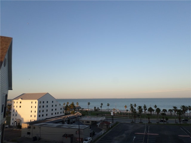 view of water feature