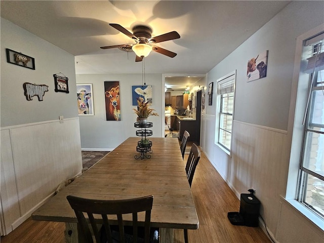 dining room featuring plenty of natural light, dark wood-type flooring, wainscoting, and ceiling fan