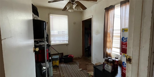 interior space featuring a wealth of natural light and ceiling fan