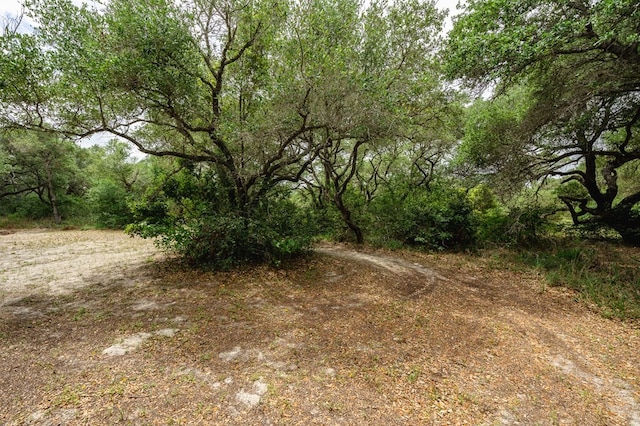 Listing photo 3 for 00 W Johnson, Aransas Pass TX 78336