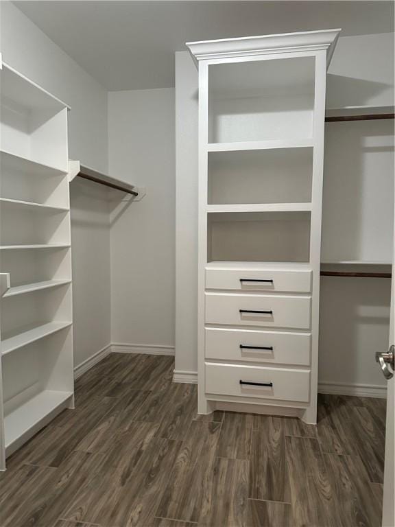 3141 Quail Springs Rd Unit 14, Corpus Christi, TX 78414 - spacious closet featuring dark wood-style flooring