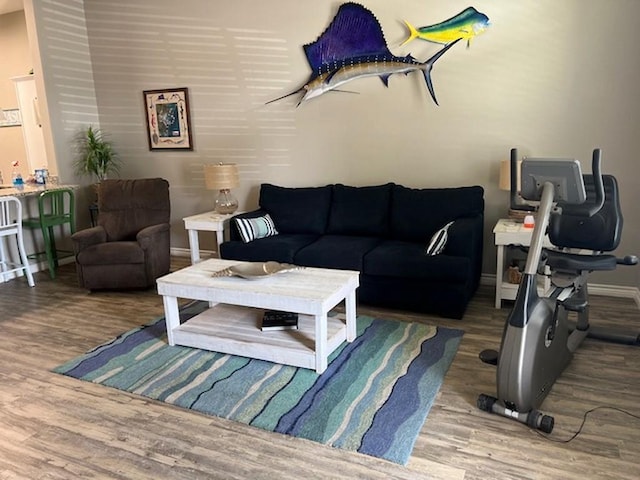 living room featuring wood-type flooring