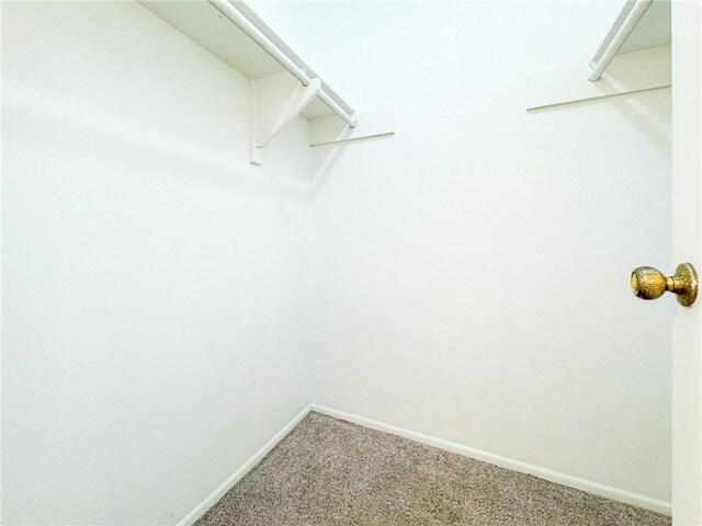 2916 Saint Joseph St Unit D, Corpus Christi, TX 78418 - photo 24