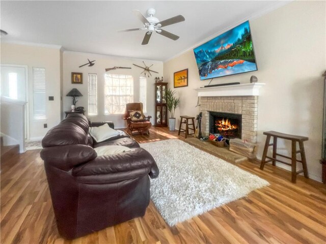 living room with a fireplace, crown molding, ceiling fan, and wood finished floors