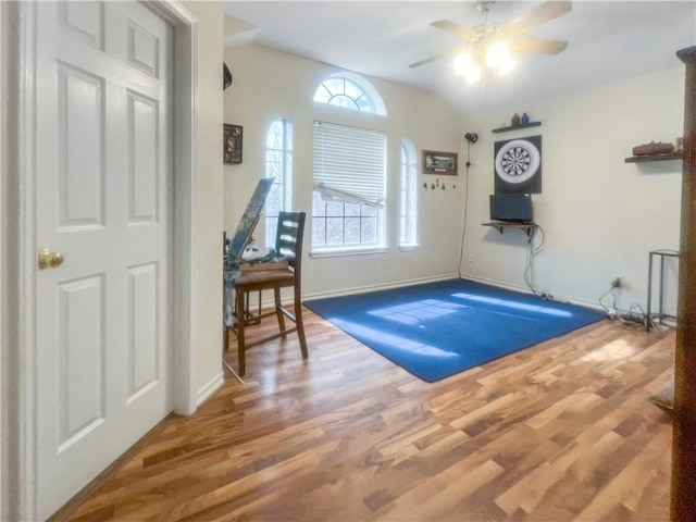 interior space featuring wood finished floors, baseboards, and a wealth of natural light