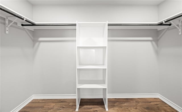 walk in closet featuring dark wood-type flooring