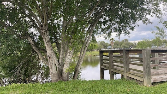 dock area with a water view