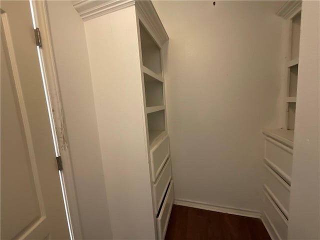 walk in closet with dark wood finished floors