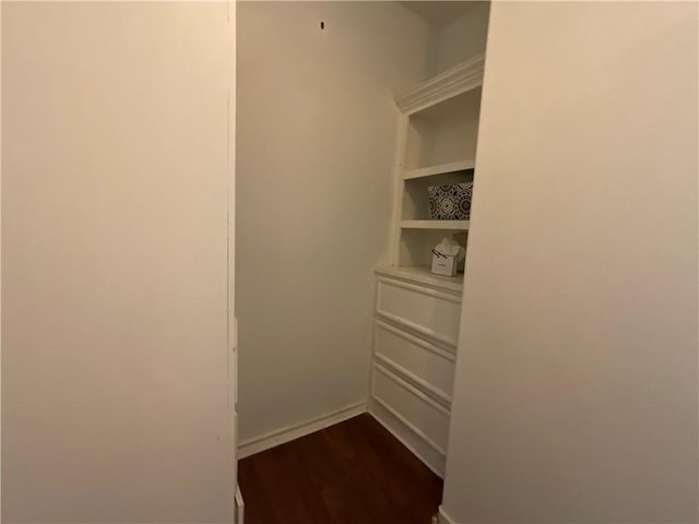 walk in closet featuring dark wood-style flooring