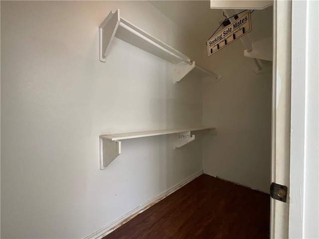 walk in closet with dark wood-type flooring