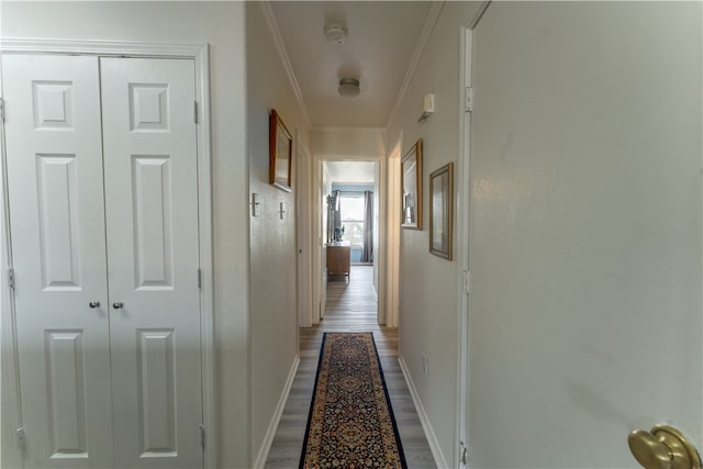 corridor featuring light hardwood / wood-style flooring and crown molding