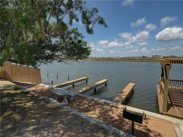 dock area with a water view