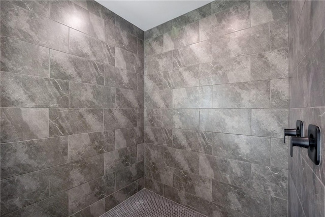 interior details with tiled shower