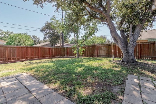 2738 Wind Rock Dr, Corpus Christi, TX 78410 - view of yard