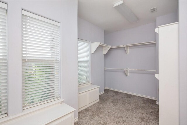 walk in closet featuring light colored carpet