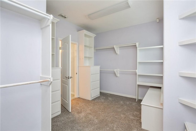 spacious closet featuring carpet