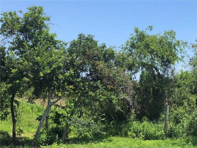 Listing photo 2 for 0 County Rd 3265, Taft TX 78390