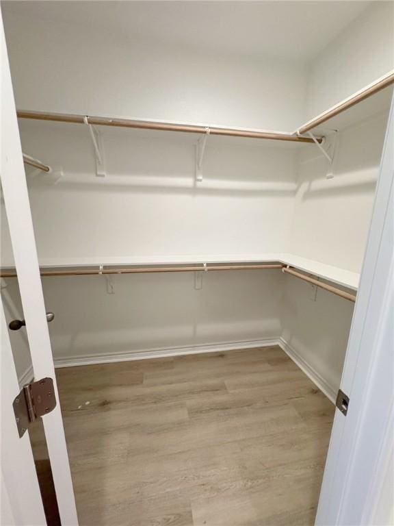 spacious closet featuring light wood-style flooring