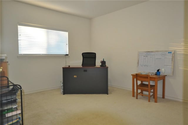 interior space with carpet and baseboards