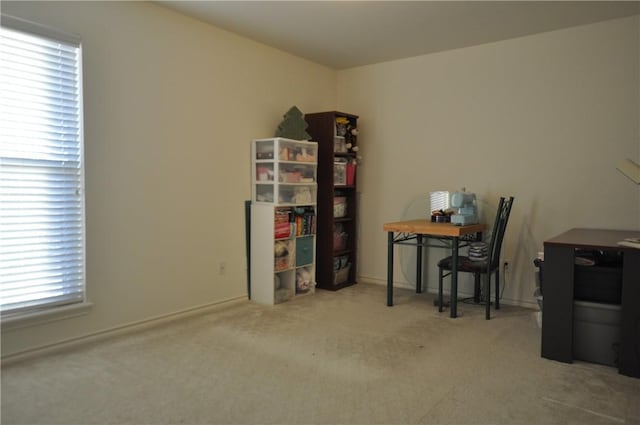 unfurnished office featuring carpet floors