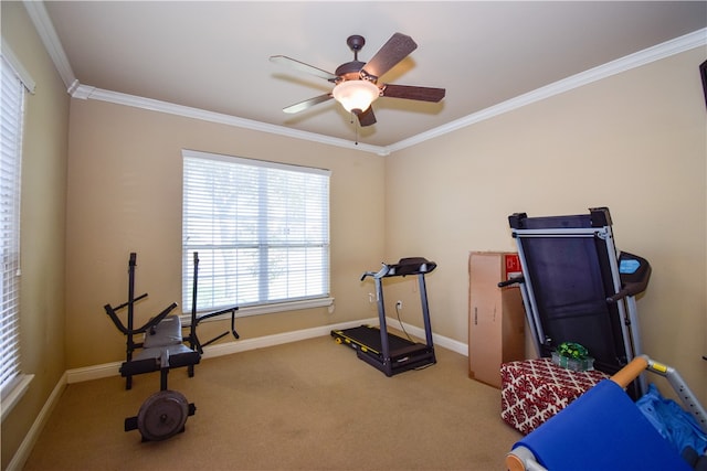 workout area with carpet flooring, crown molding, and ceiling fan