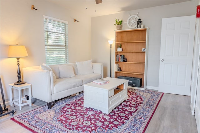 living room featuring light wood-type flooring