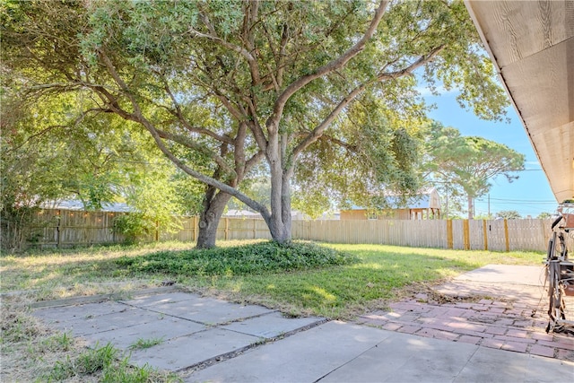 view of yard with a patio