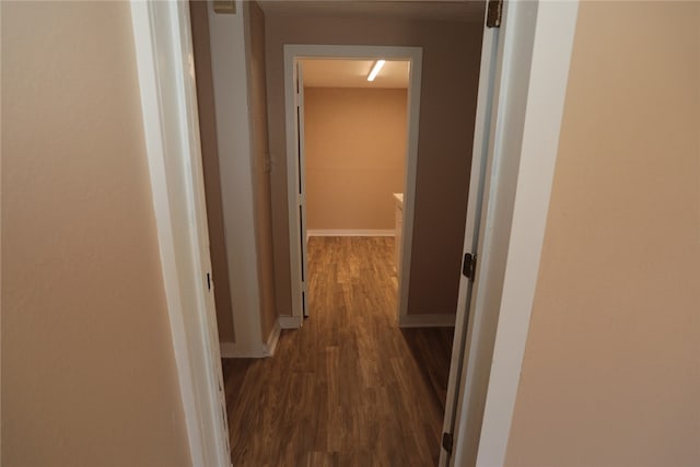 hallway featuring dark wood-type flooring