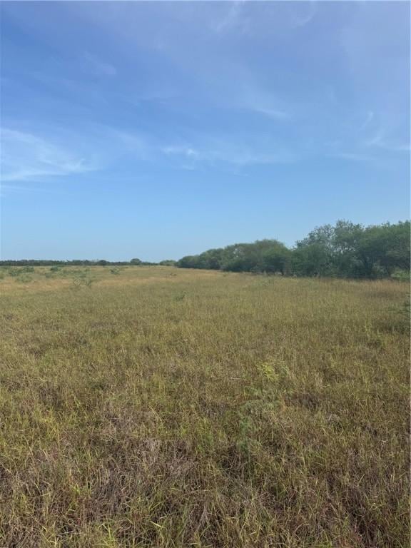 000 County Rd 335, San Diego, TX 78384 - photo 6
