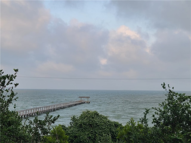 water view with a boat dock