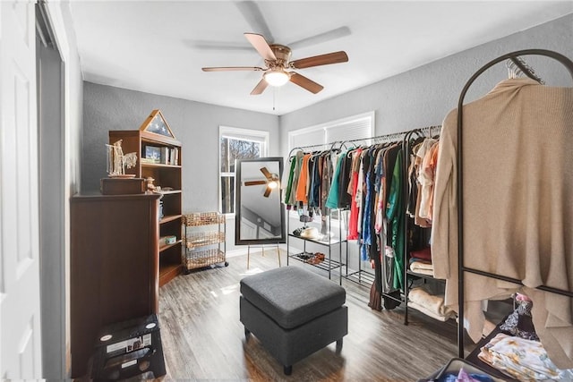 walk in closet featuring hardwood / wood-style flooring and ceiling fan