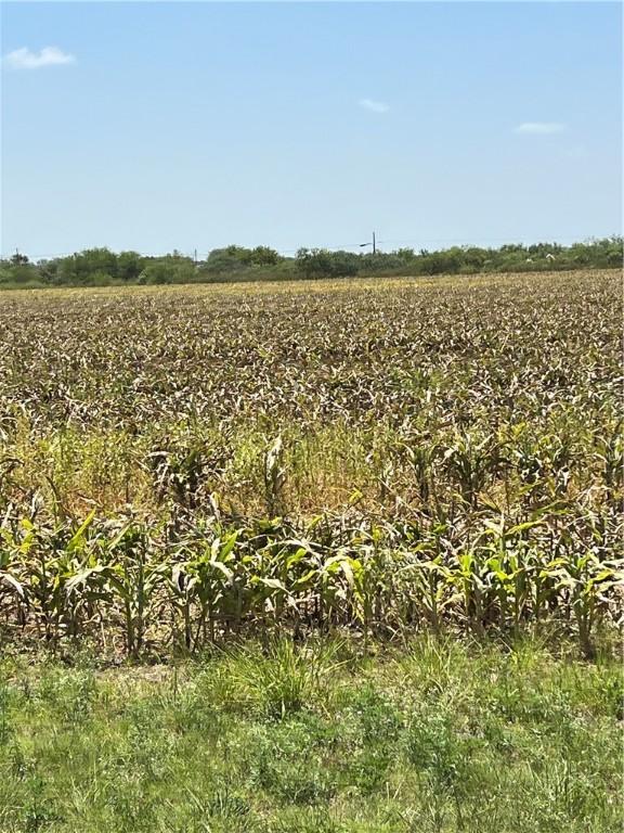 15489 County Road 1726, Odem, TX 78370 - photo 1