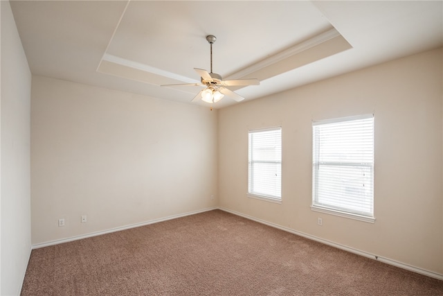 carpeted empty room with ceiling fan, a raised ceiling, and crown molding