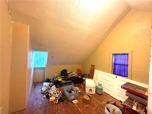 additional living space with wood-type flooring, a textured ceiling, and lofted ceiling