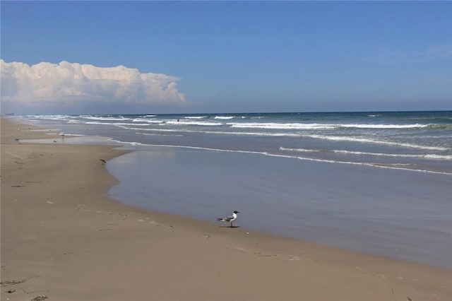 water view featuring a beach view