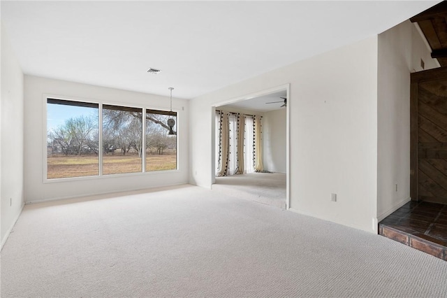 interior space with carpet