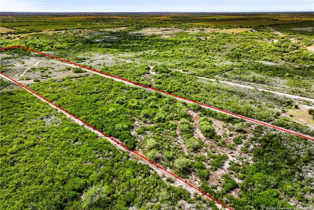 000 Hidden Creek Dr, Orange Grove, TX 78372 - photo 4