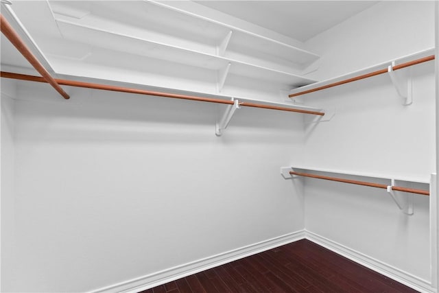 4529 Ballad Tree Dr, Corpus Christi, TX 78410 - walk in closet featuring dark wood-style floors