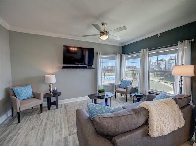 living room featuring ceiling fan, light wood-type flooring, and crown molding