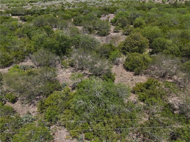 134 County Road 3032, Orange Grove, TX 78372 - photo 11