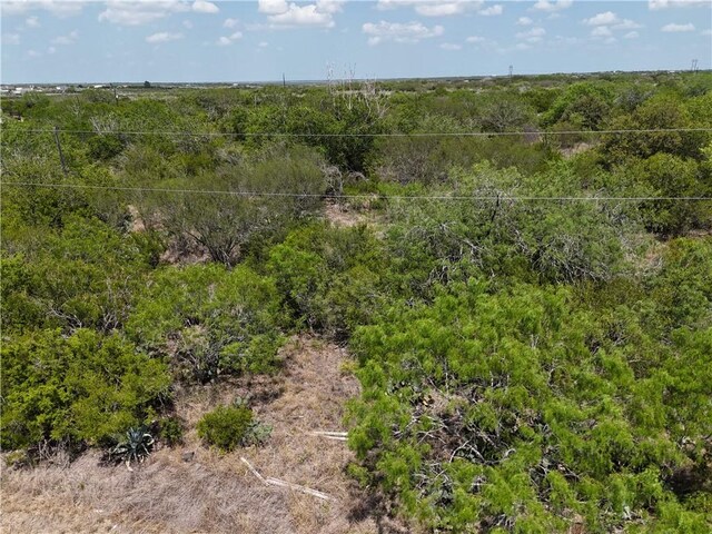 134 County Road 3032, Orange Grove, TX 78372 - photo 13