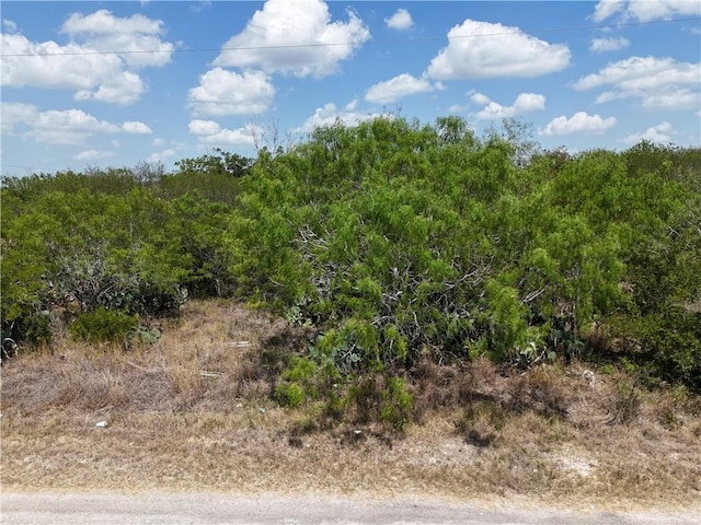134 County Road 3032, Orange Grove, TX 78372 - photo 7