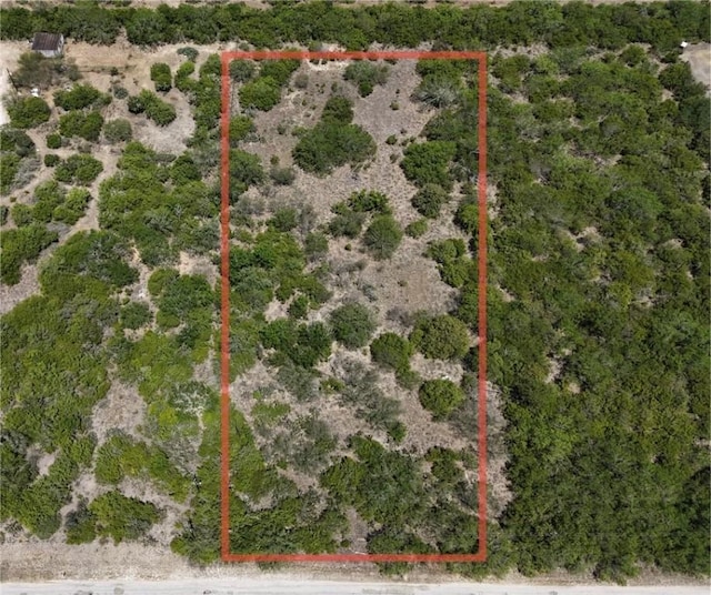 134 County Road 3032, Orange Grove, TX 78372 - photo 1
