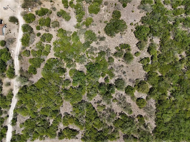 134 County Road 3032, Orange Grove, TX 78372 - photo 9