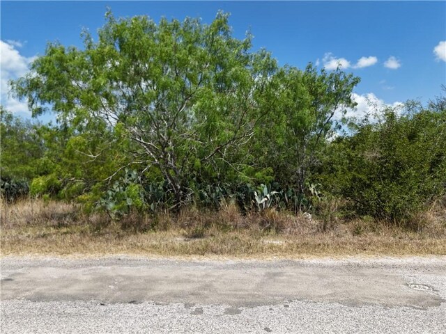 134 County Road 3032, Orange Grove, TX 78372 - photo 8