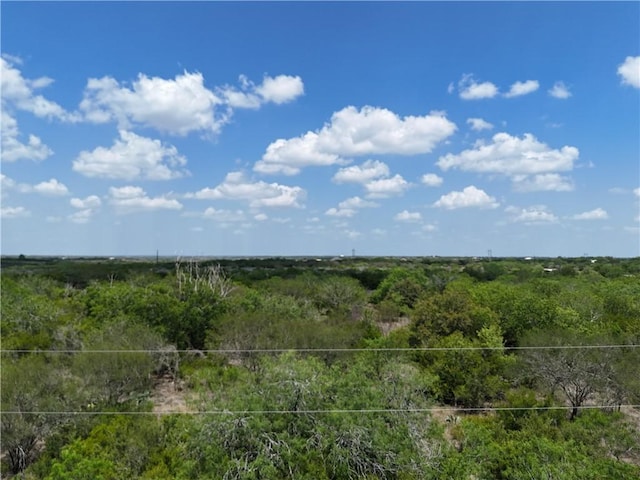 134 County Road 3032, Orange Grove, TX 78372 - photo 5
