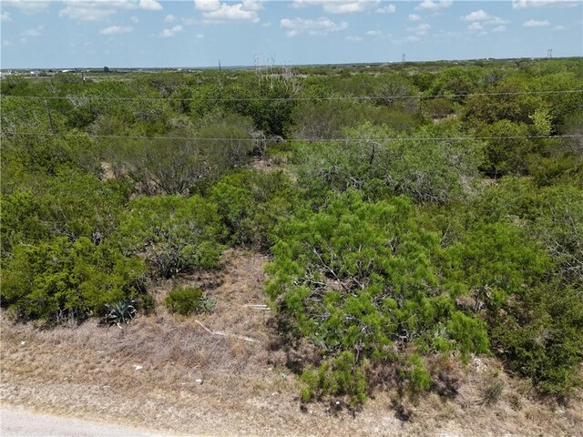 134 County Road 3032, Orange Grove, TX 78372 - photo 6